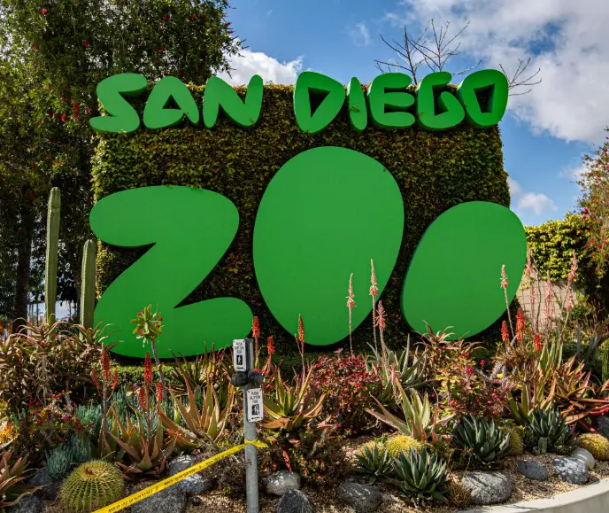 The Extraordinary Animal Kingdom At San Diego Zoo