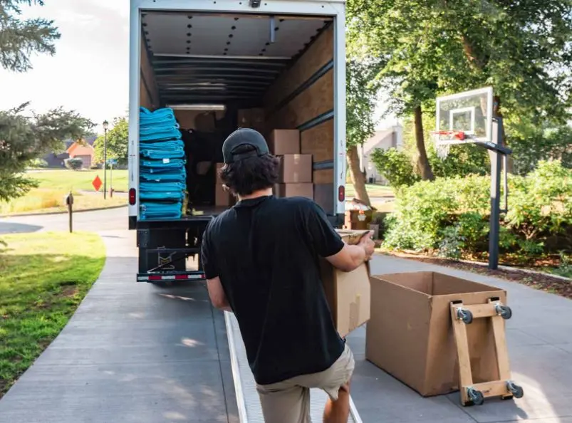 The Art Of Relocation: Mastering The Craft With Expert Movers