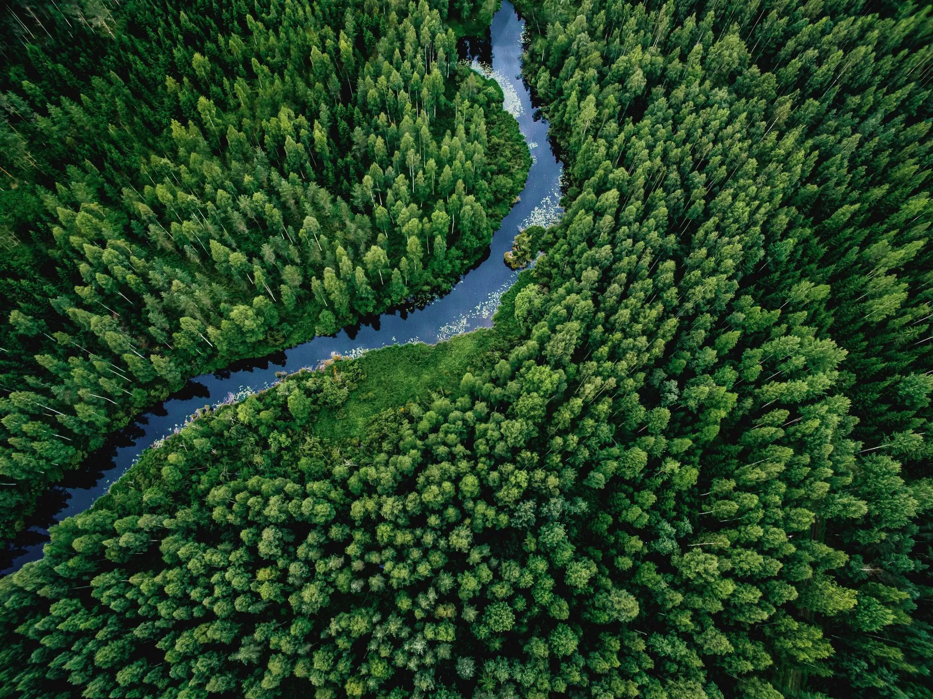 A winding river cutting through dense green forest from an aerial view