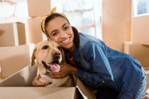 Moving company for moving with a dog